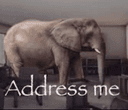 Address Me...